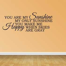 vinyl transfer. wall art sticker quote Our little ray of sunshine
